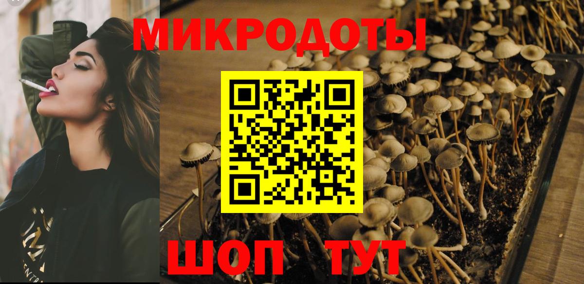 Северск  Галлюциногенные грибы мухоморы  Псилоцибиновые грибы мицелий  Вход с VPN 